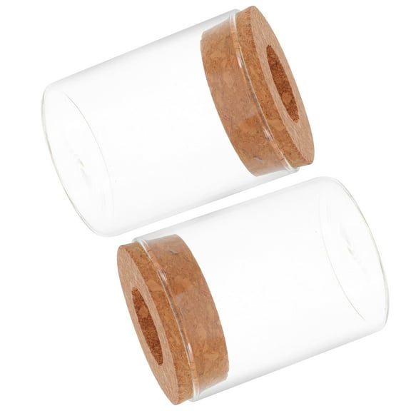 Masteelf 2pcs Clear Glass Air Plant Terrarium Candy Bowl Jar Tealight Candle Holder Succulent Cactus Plant Vase Transparent 250ml