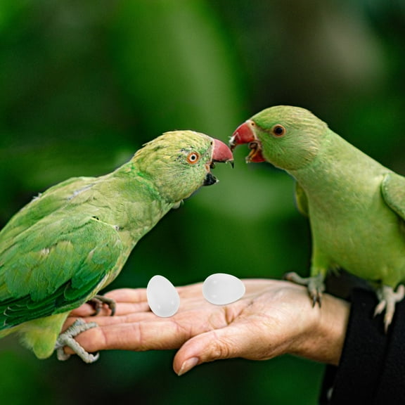 Masteelf  30 Pcs Artifical Egg Thing for Bird Eggs Solid Fake Pigeon White