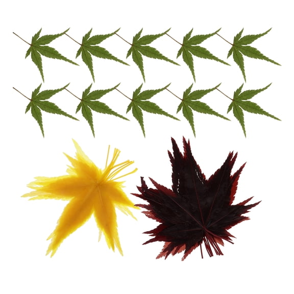 Masteelf  30 Pcs Rice Molds for Sushi Making Maker Maple Leaf Decoration