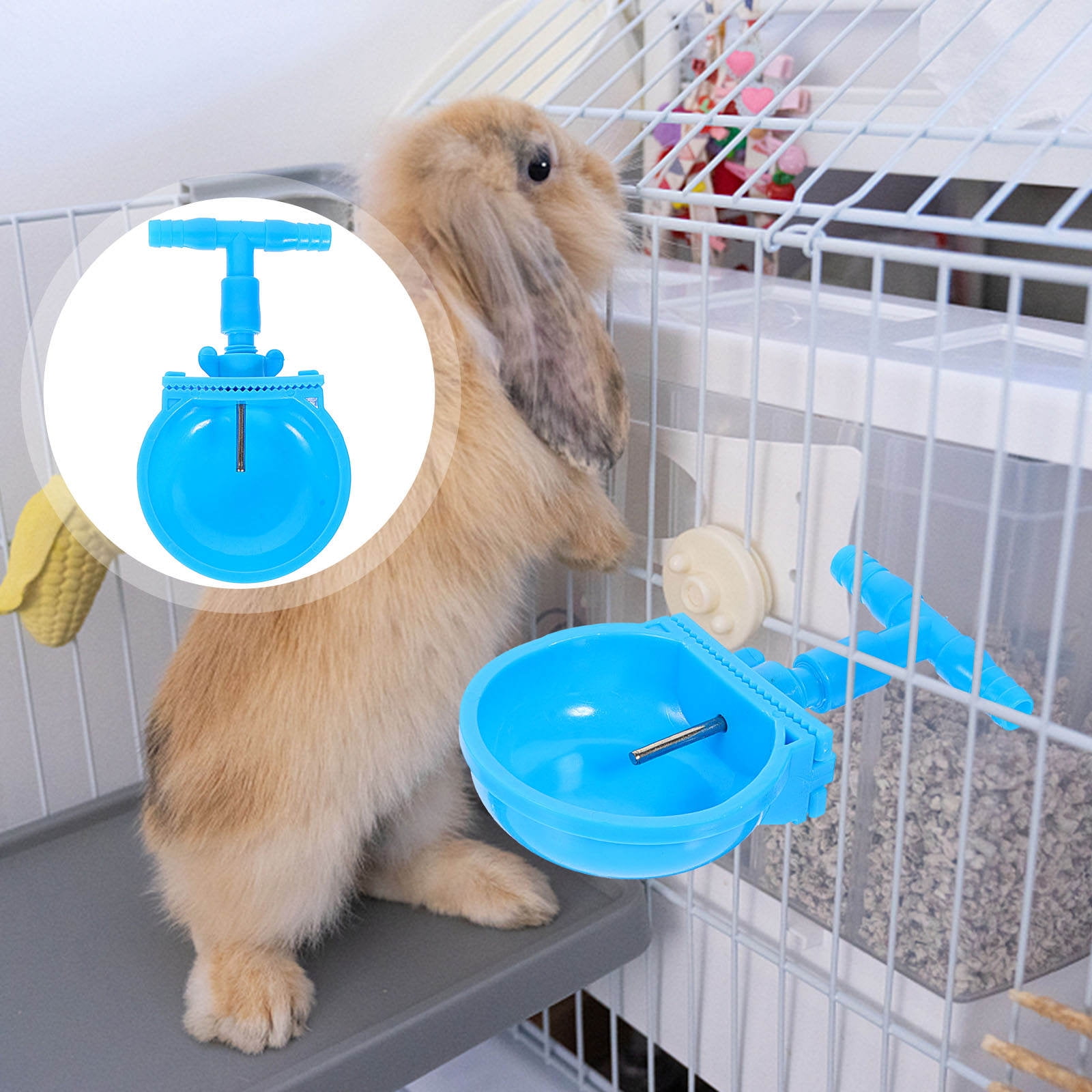 Blue Rabbit Water Masteelf 4 Pcs Container Bowls Rabbit Water for Home Trough - Walmart.com