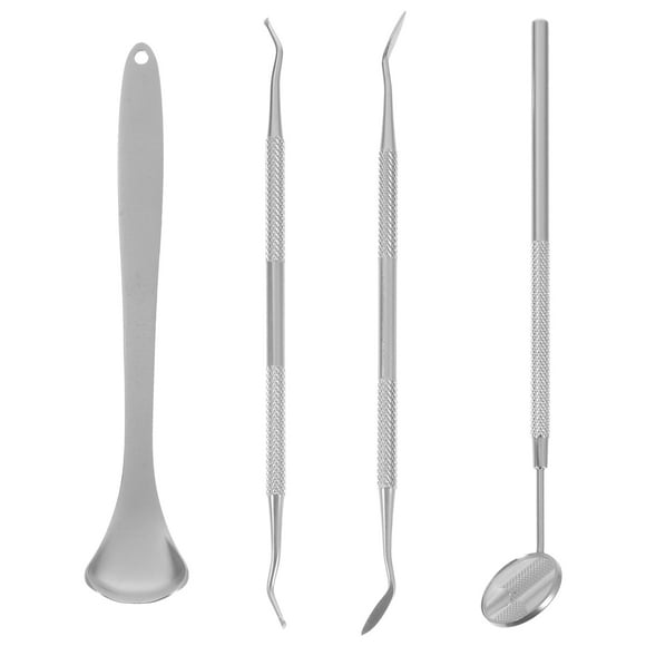Masteelf 4pcs Stainless Steel Dental Tools Professional Plaque Remover Teeth Cleaning Tools Set (Silver)