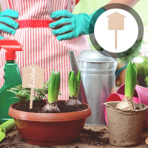 Masteelf  50 Pcs Indoor Ground Plants Label Plate Blank Succulent Labels