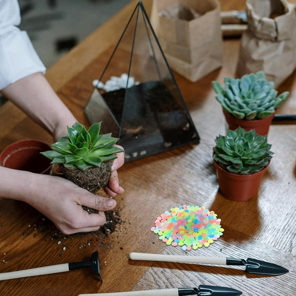 Masteelf 500pcs Glowing Pebbles Garden Stones for Fish Tank and Garden Decoration Luminous Stones for Aquarium Landscaping Garden