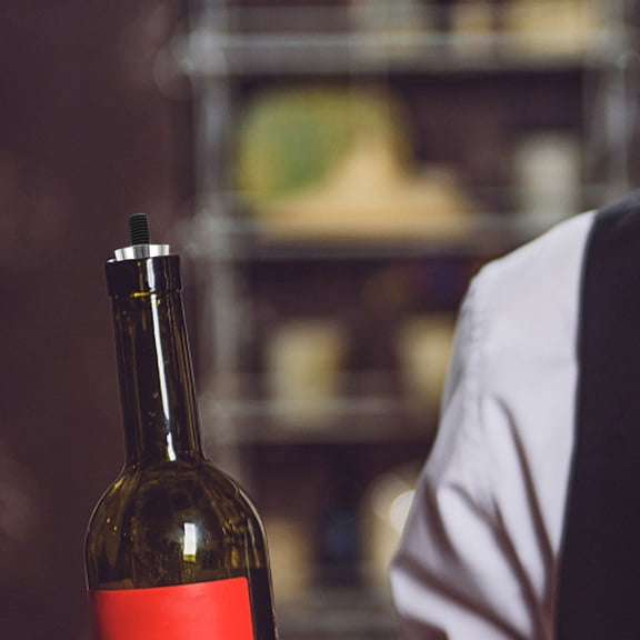 Masteelf 6pcs Creative Alloy Wine Stoppers DIY Vacuum Seal Wine Bottle Corks Reusable and Portable Wine Accessories for Home Party and Holiday Decorations