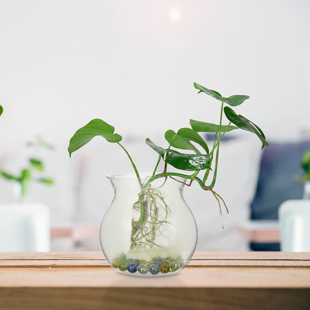 Plastic Fish Bowl Aquatic Plant Pot SHYLIEY Fish Bowl Vase Bubble Round  Shallow Planter Aq Lotus Planter Glass Bowl, image size:1002x1002