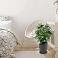 thumbnail image 2 of GANAZONO 5-Pack Rectangular Plant Saucers - Plastic Drip Trays For 2 of 13