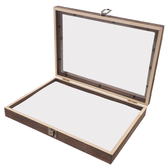 Masteelf Apparel Insect Specimen Box Insect Specimen Collector Box 31x22cm