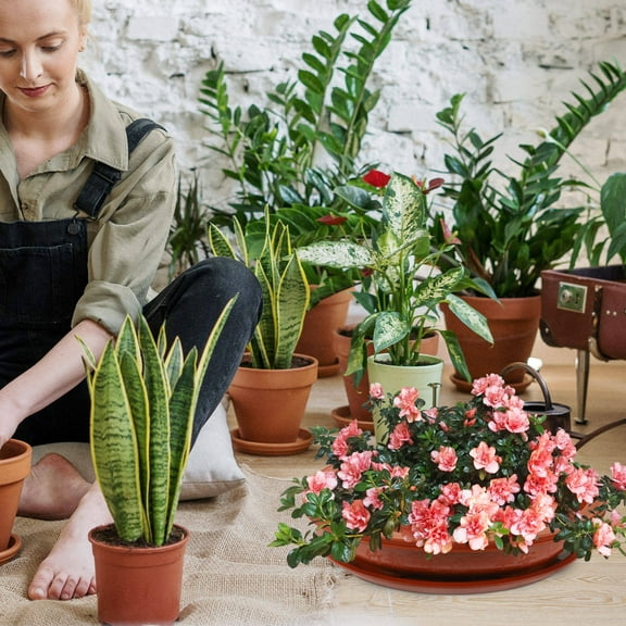 Masteelf Large Bonsai Plant Pot with Drainage Tray, Brown Tree Container for Indoor and Outdoor Gardening