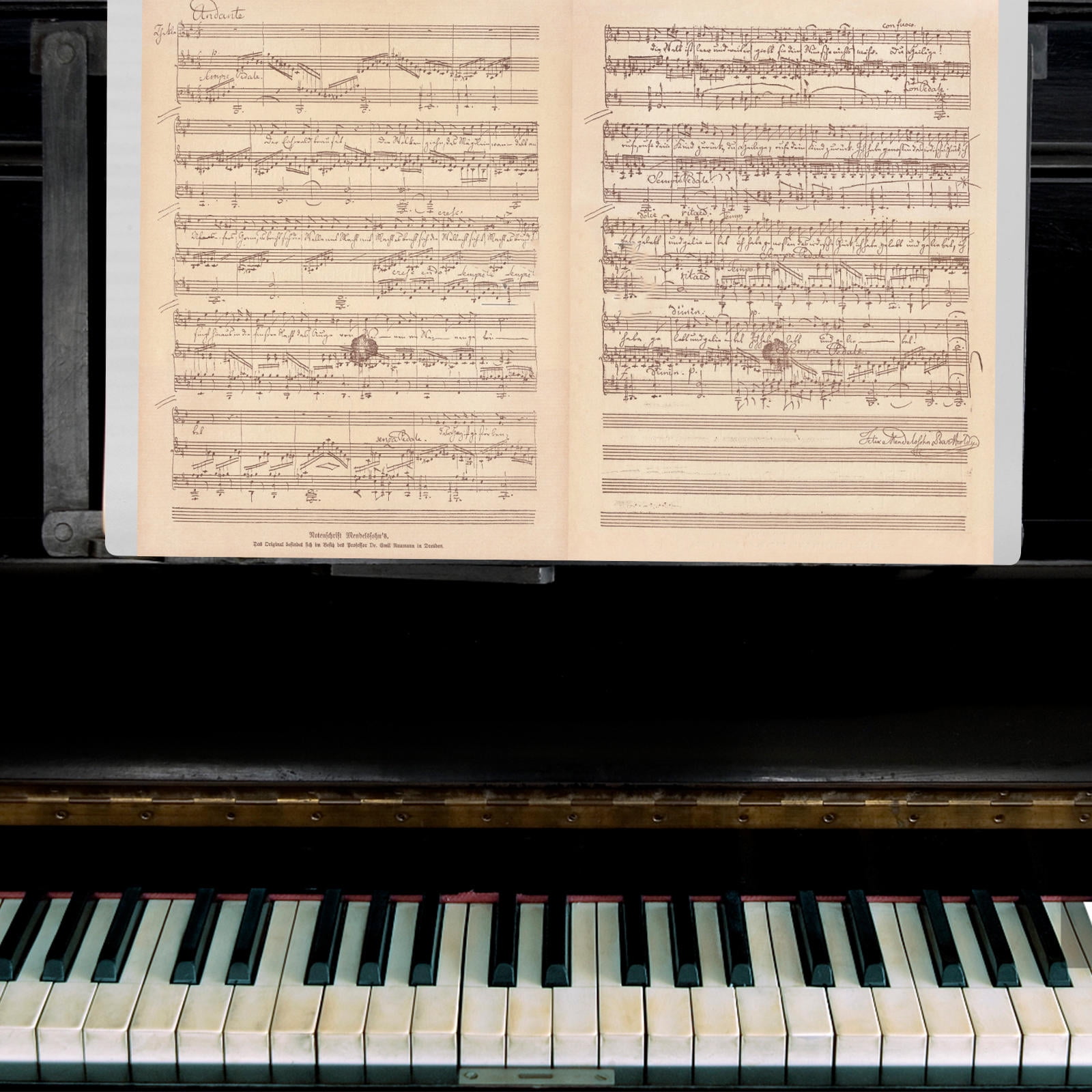 Masteelf Choir Folder Music Folder Music File Folder Music Folder Piano ...