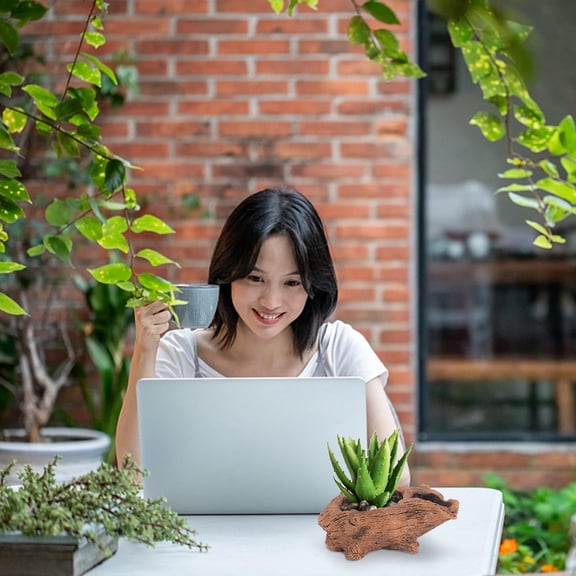 Masteelf Brown Cement Flowerpot with Drainage Holes, Retro Style 4.7in Planter for Home and Garden Decor