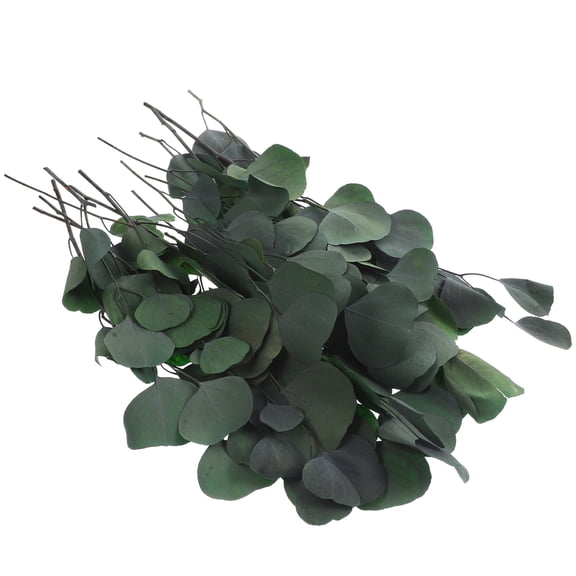 Masteelf Faux Eucalyptus Tree Hydrangea Preserving Dried Stems Plant Greenery Decor