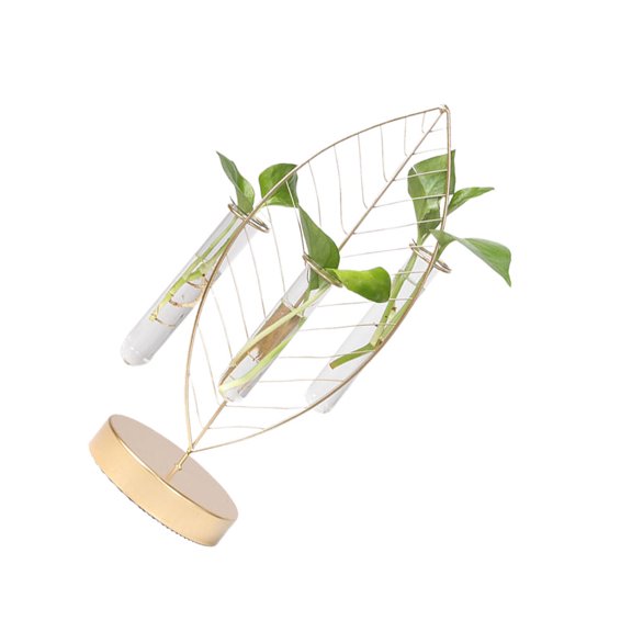 IDEANATEGRATE 1Pc Iron Frame Test Tube Glass Vase for Flower Arrangement and Plant Display