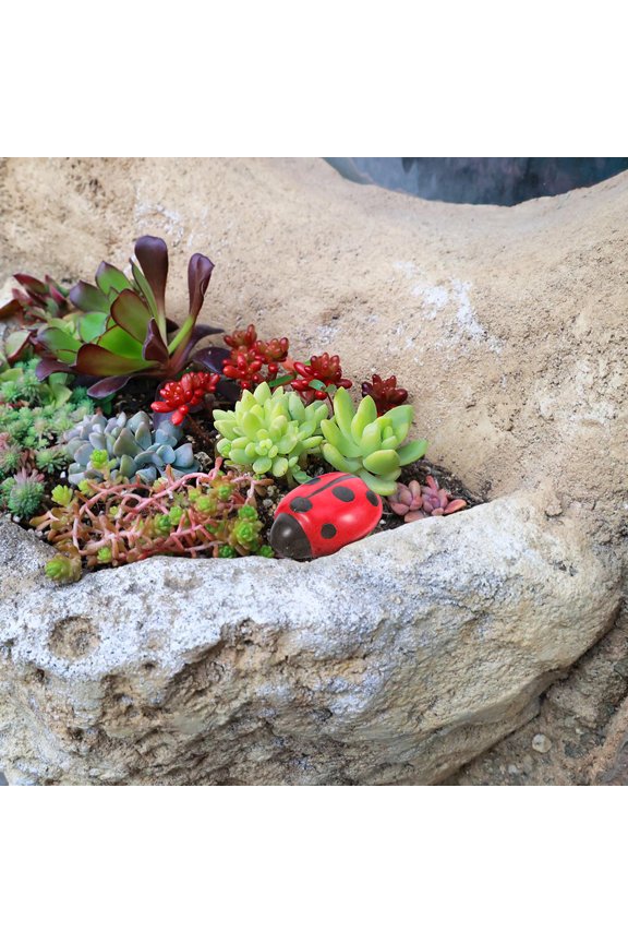 Garden Ladybug Key Hider Decorative Key Storage Box Weatherproof And Durable Ideal For Outdoor Use Secure Key Hiding Solution Suitable For Yard Decor