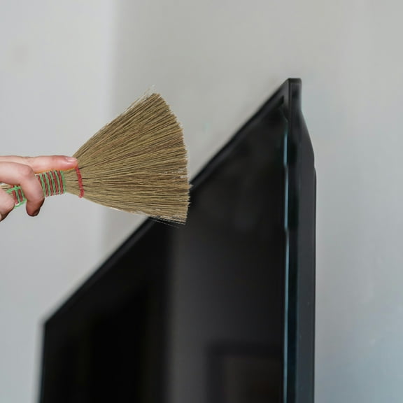 Masteelf Handheld Whisk Broom with Soft Bristles for Living Room 5.5x4.3x0.8in 1Pcs