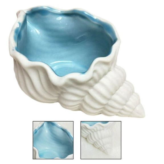 Masteelf Key Small Conch Flower Utensil Smooth Conch Decoration 13X7CM White