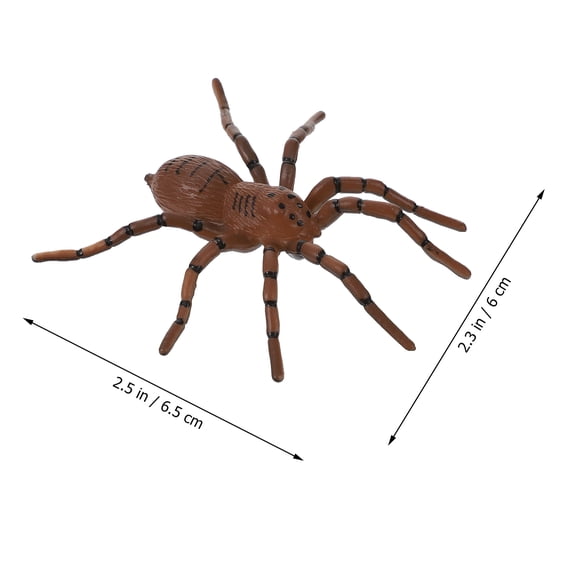 Masteelf Life Cycle Figurines Insects Spider Life Cycle Figures Growth Biological Model Realistic Spider Toys Educational Science Toys for