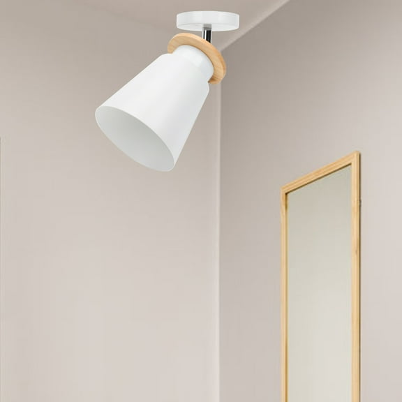 Masteelf  Living Room Light Fixture Ceiling Lamp Decorative