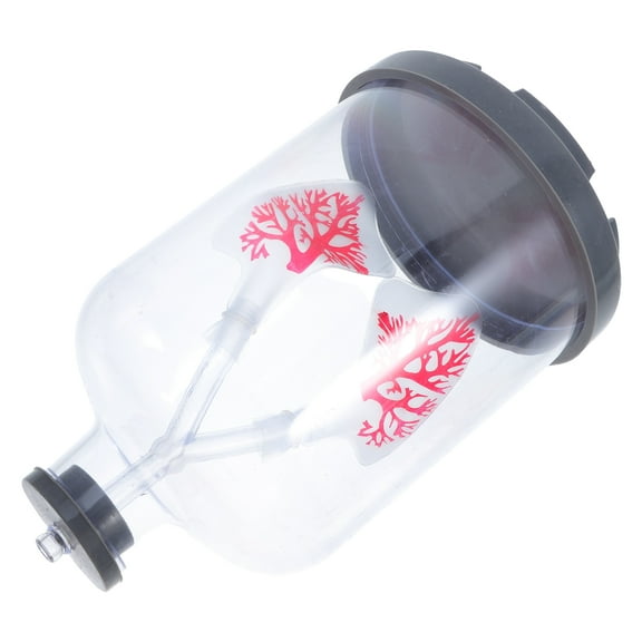 Masteelf Lung Function Tool Machine-washable Carpet Breathing Model Student