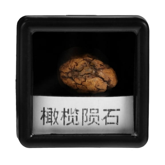 Masteelf Meteorite Specimen for Collection Stone Material Science Classroom Decor 1.5x1.2x0.8 inches