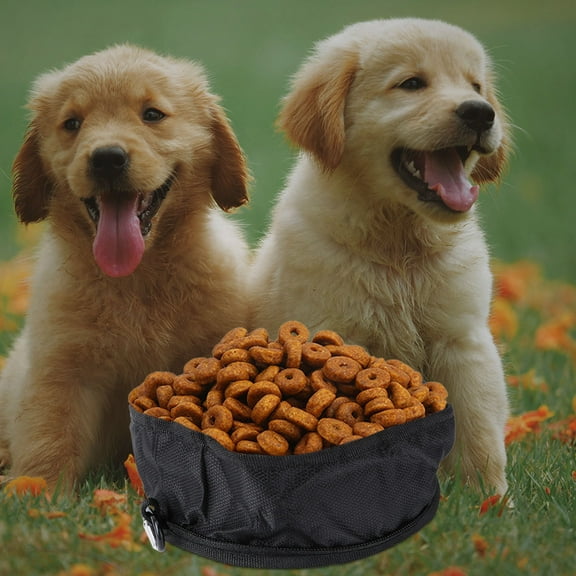 Masteelf  Pet Water Bowl Travel Dog Bowls with Lid Style Companion Black