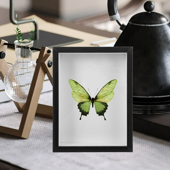 Masteelf  Photo Frame Table Insect Specimen Shadow Boxes Display Cases Black