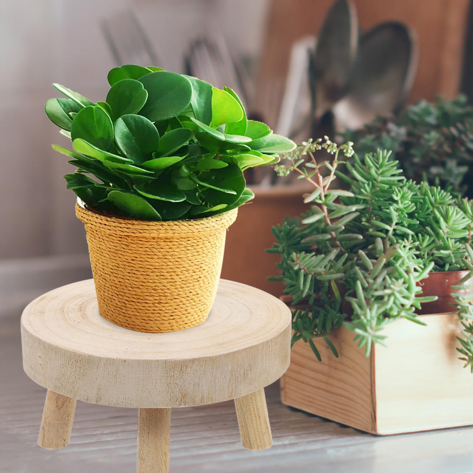 Masteelf Plant Rack Planters for Indoor Plants Flower Pot Stand Stool ...