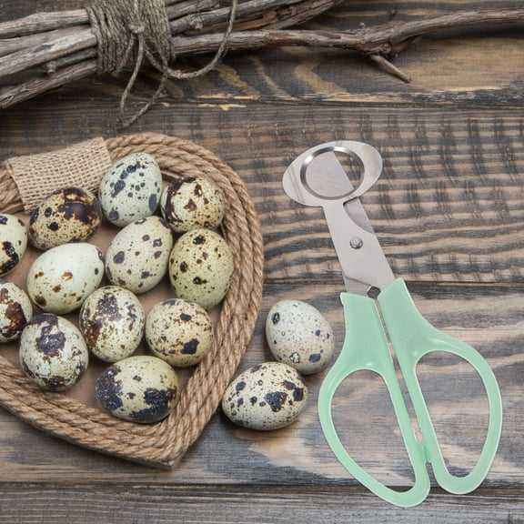 Masteelf Quail Egg Cutter Scissors Birds Egg Opener Stainless Steel Kitchen Clipper
