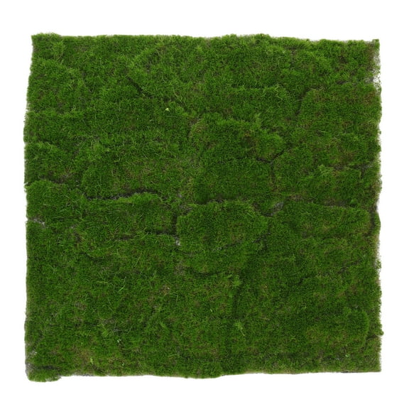 Toddmomy Artificial Moss Mat Green Plastic Simulated Lawn Moss 1Pcs 11.8X11.8X0.2In