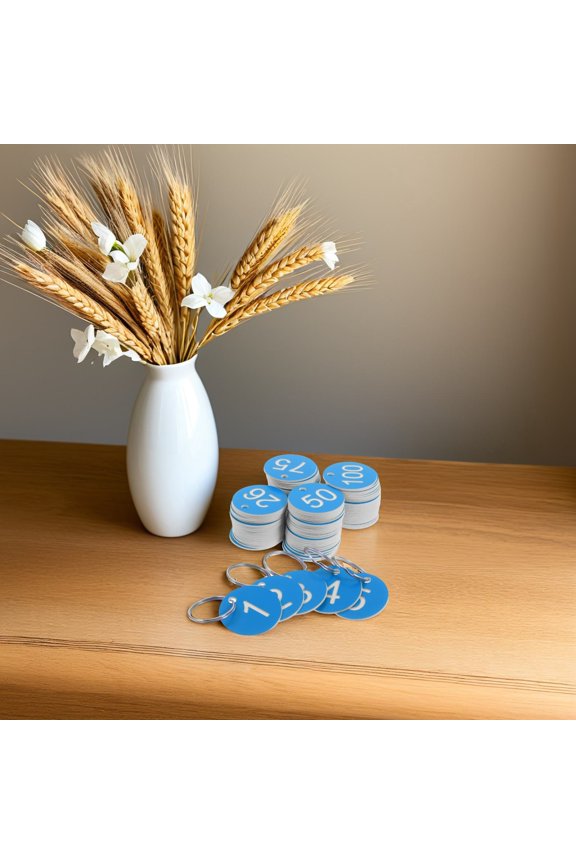 Sky-blue ABS Number Tags with Round Hole for Organizing 30pcs
