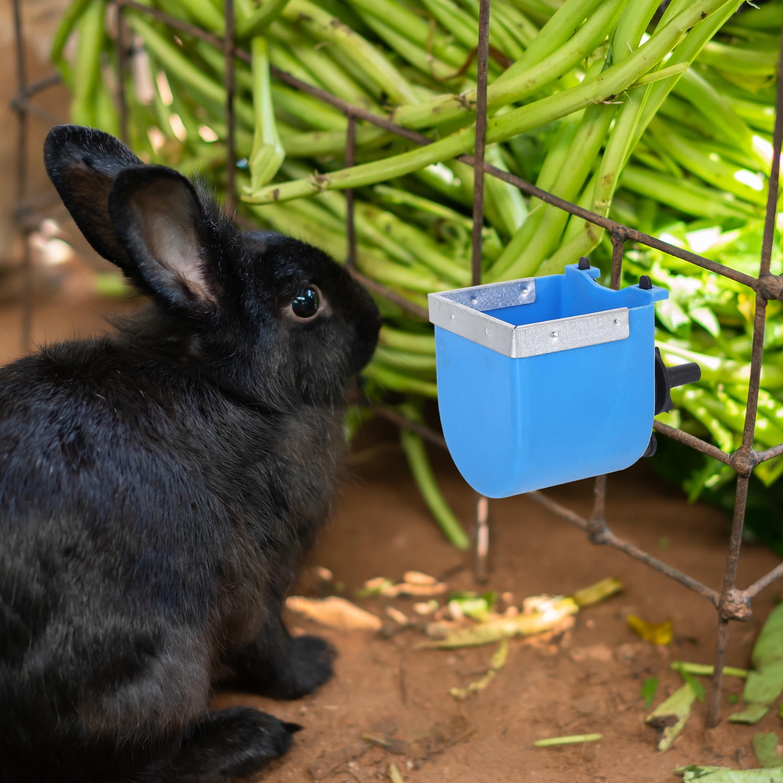 Masteelf Stainless Steel Rabbit Drinking Bowl Automatic Water