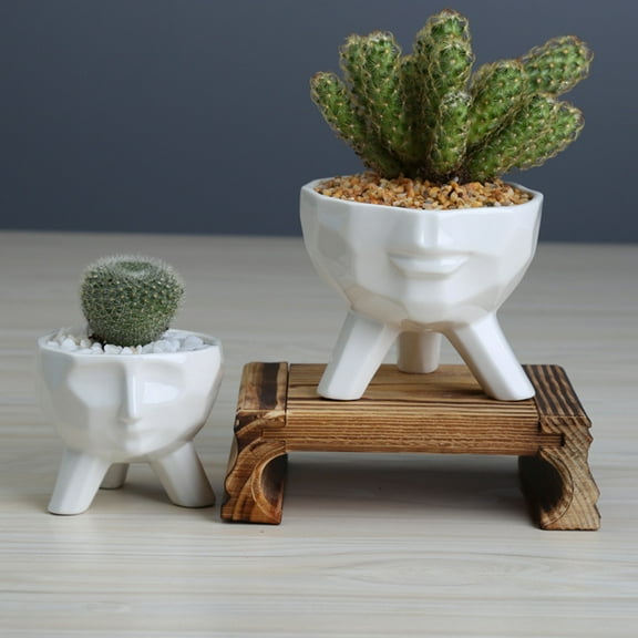 Masteelf Succulent Planter Flower Human Face Decoration