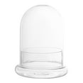thumbnail image 1 of Masteelf Terrarium Display Glass Air Planter Terrarium Container Glass Display Cloche Dome Tabletop Planter Display Box, 1 of 11