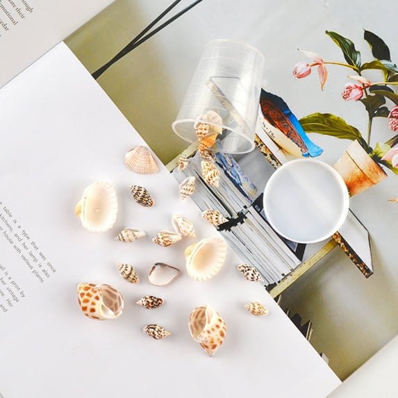 Masteelf Transparent Synthetic Seashells for DIY Crafts and Decoration 2 Boxes Variety Sizes
