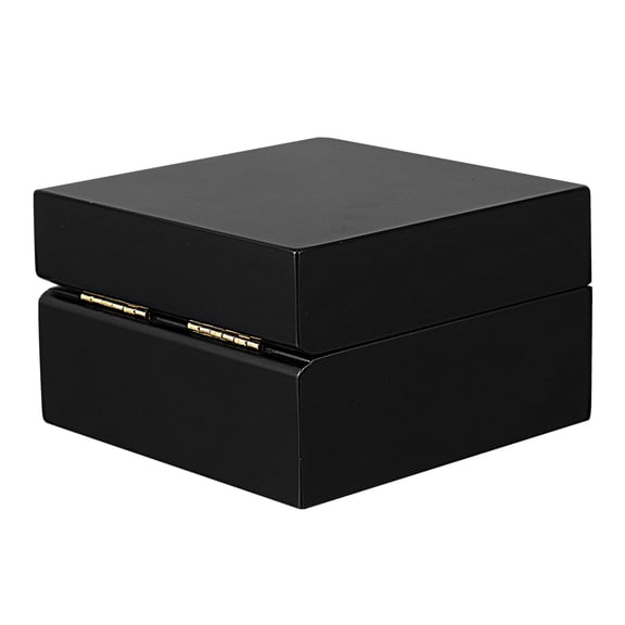 Masteelf  Trinket Display Watch Box Personal Use Case High-grade