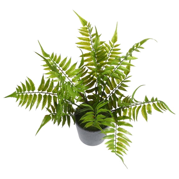 IDEANATEGRATE Artificial Small Fern Dark Blue Plastic for Indoor Use 1Pack