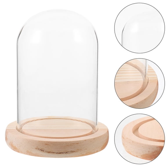 Masteelf Worgeous Clear Glass Display Case with Wooden Base and Clear Glass Dome Covering