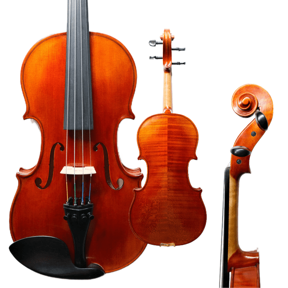 Master 4/4 Full-Size Violin | Hand-Varnished with 20+ Year Aged Italian Spruce & Bosnian Maple | Professional Orchestra Instrument for Professional soloists and session players (VIO1237)