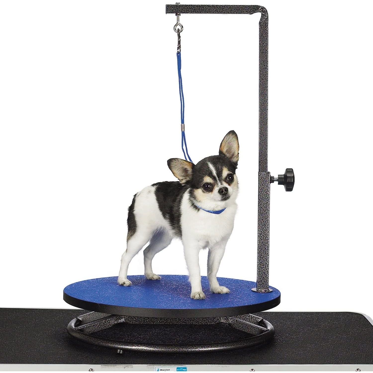 Blue 18in Small Pet Grooming Table with Adjustable Arm
