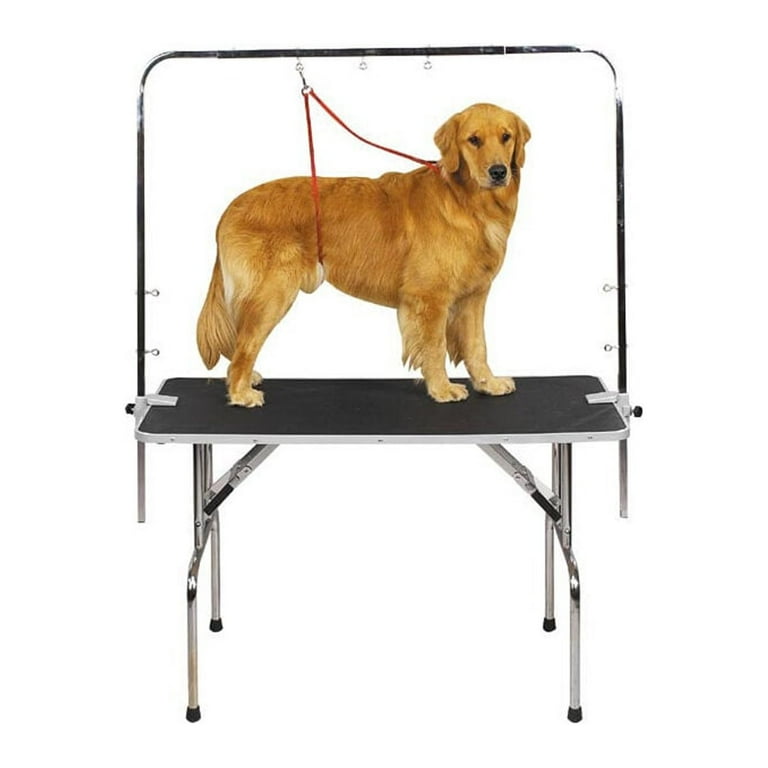 Dog grooming table sales restraints