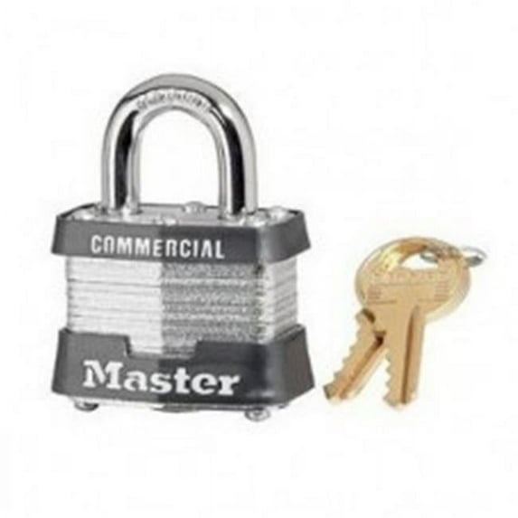 Master Lock 4 Pin Tumbler Padlockked Alike