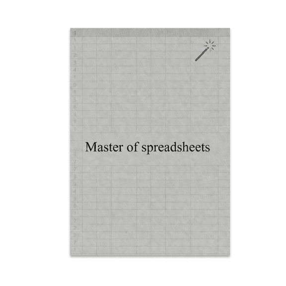 Master of Spreadsheets Wall Art - Accounting Enthusiast - 13x19 Poster Print