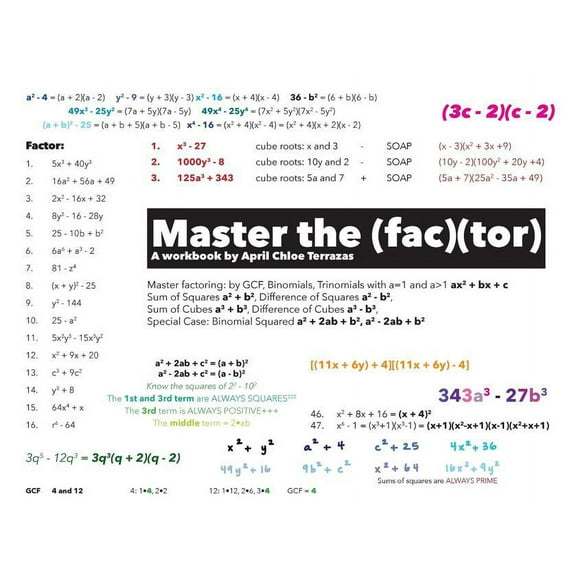 Master the Factor (Paperback)