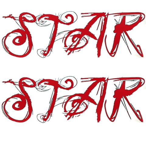 MasterCraft Boat Lettering Decals 2817002 | X-Star Red Gray (Set of 2)