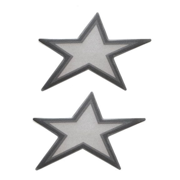 MasterCraft Boat Raised Decal Stickers | Star Emblem Silver (Pair)