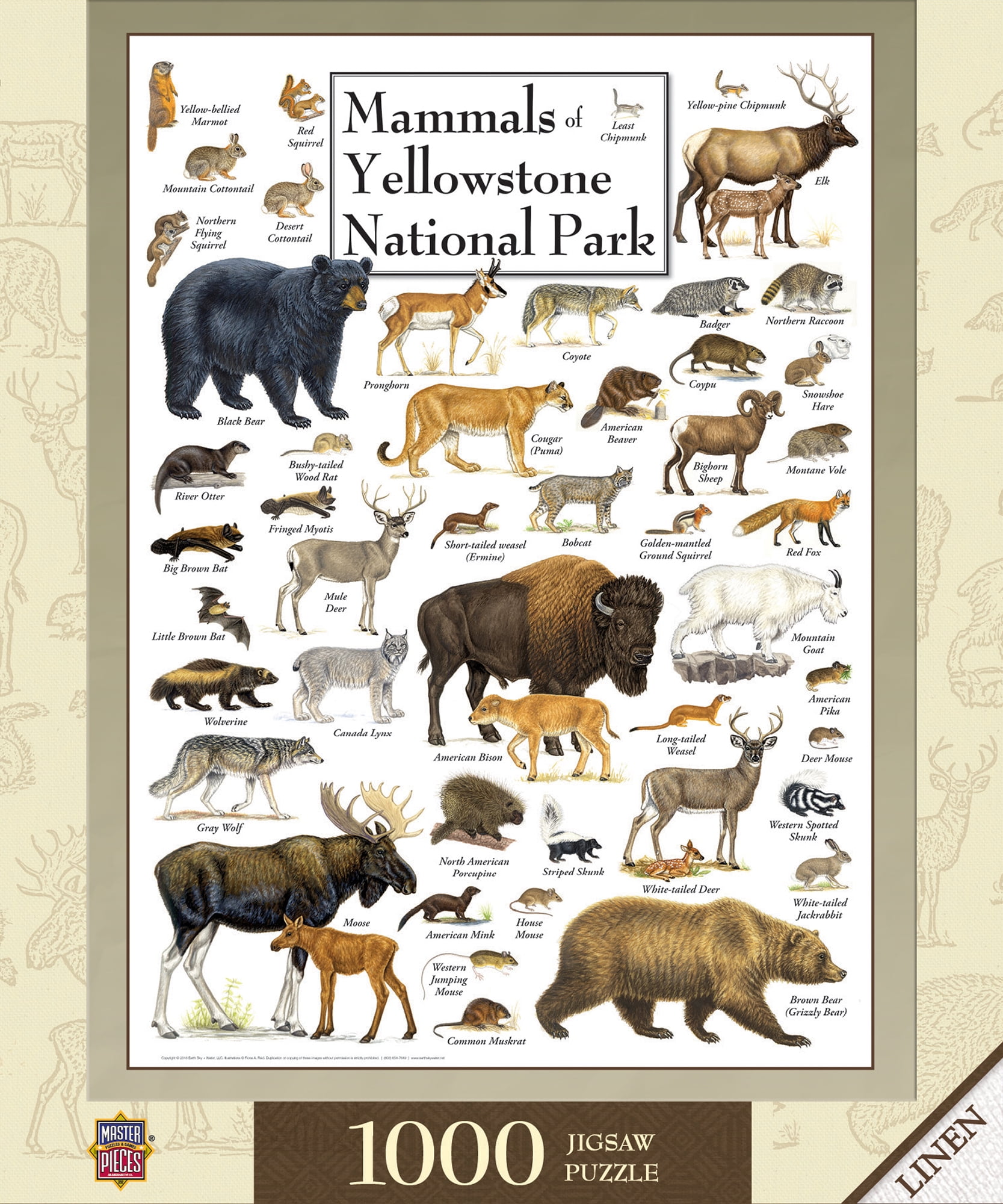 Ceaco Animal Kingdom Mammals 1000 Piece Jigsaw Puzzle – 26.6" X 19" Finished Size, Includes Poster – Made In USA From Recycled Materials