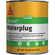 MasterSeal 590 Hydraulic Cement - Pack of 4
