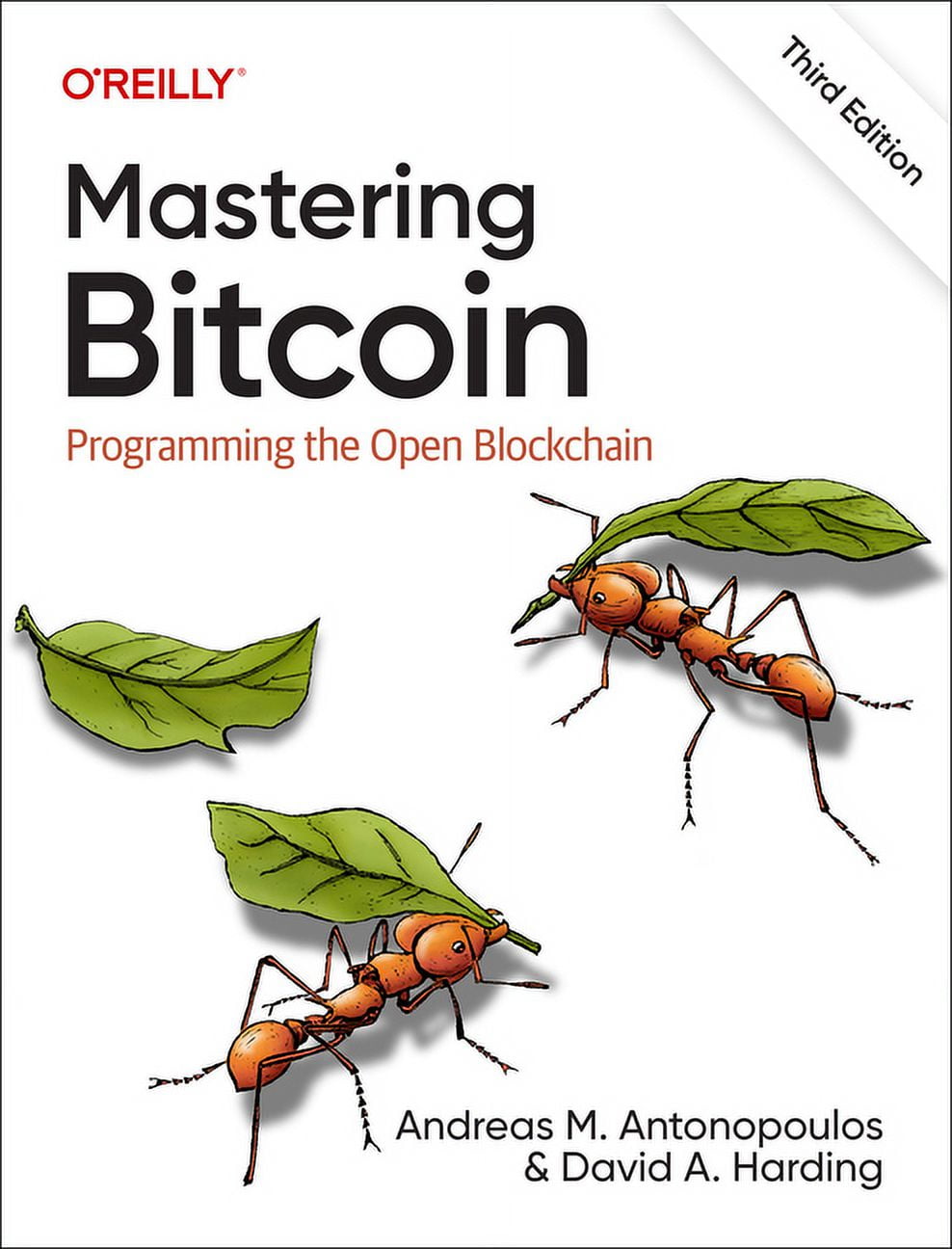 Mastering Bitcoin: Programming the Open Blockchain (Paperback) - Walmart.com