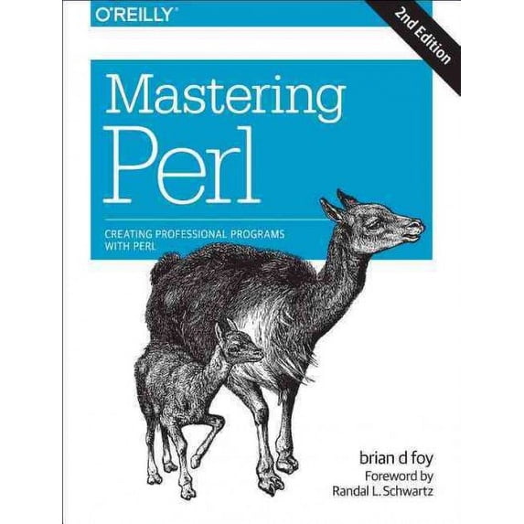 Mastering Perl: Creating Professional Programs with Perl (Paperback)