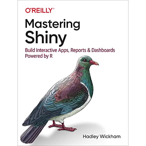 Pre-Owned Mastering Shiny: Build Interactive Apps, Reports, and Dashboards Powered by R (Paperback) 1492047384 9781492047384