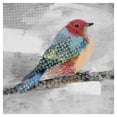 thumbnail image 1 of Masterpiece Art Gallery A Bird's Flight Patterns III by Studio Arts Canvas Art Print 12" x 12", 1 of 2